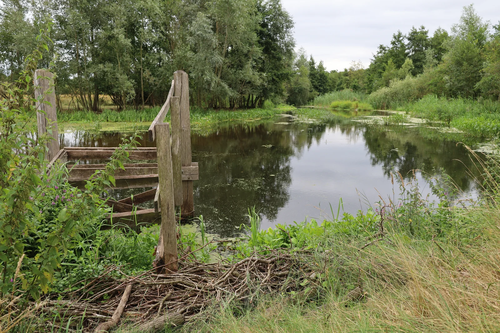 Het houten bruggetje over het water