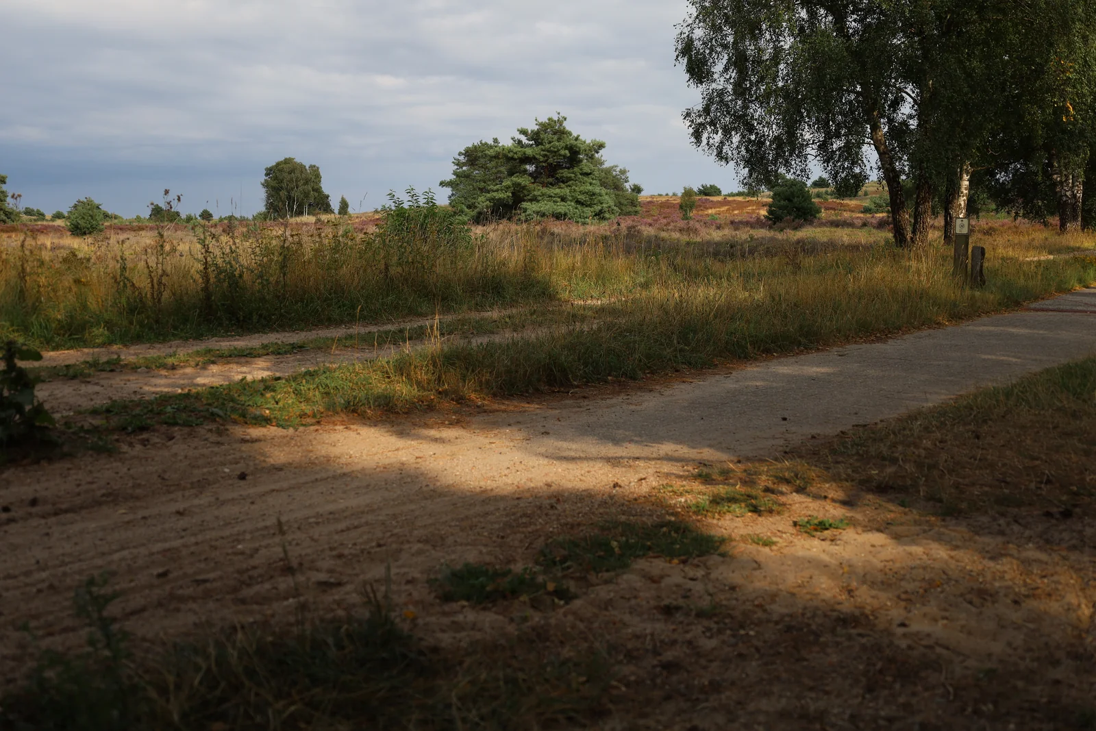 De route loopt verder tussen de velden